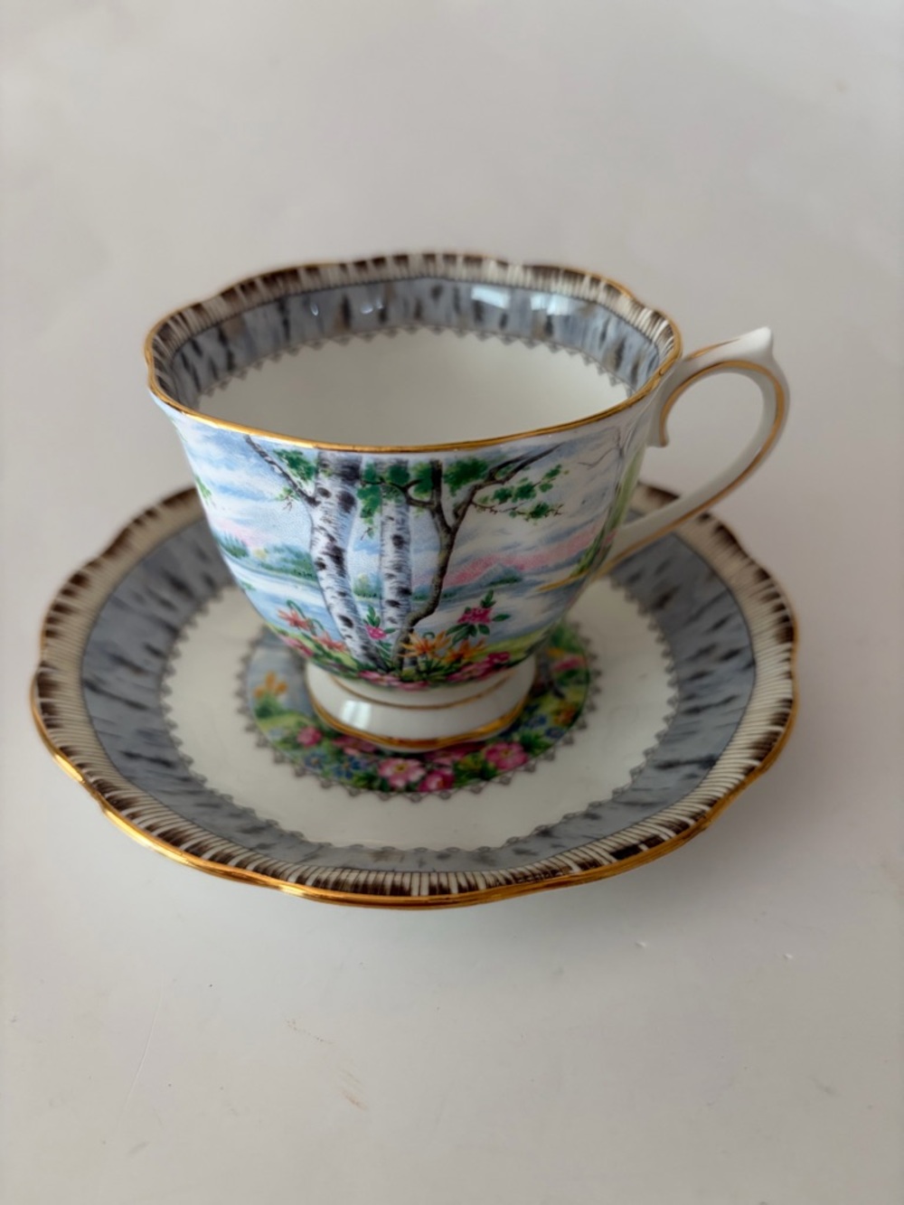 Royal Albert Silver Birch Bone China Tea Cup & Saucer Made In England